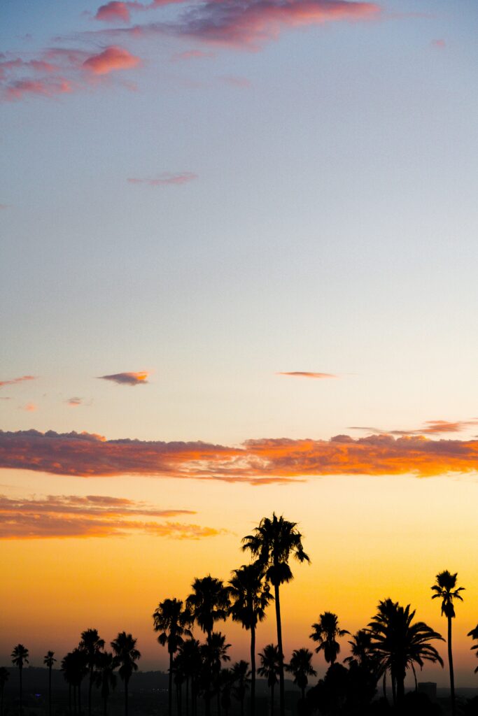 Tall palm trees silhouette against vibrant orange pink purple sunset sky with soft clouds wallpaper