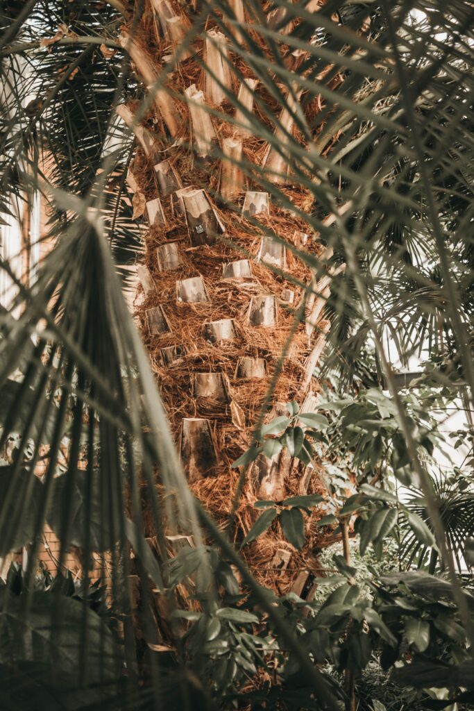 Textured palm tree trunk with lush green tropical leaves and warm earthy tones wallpaper background