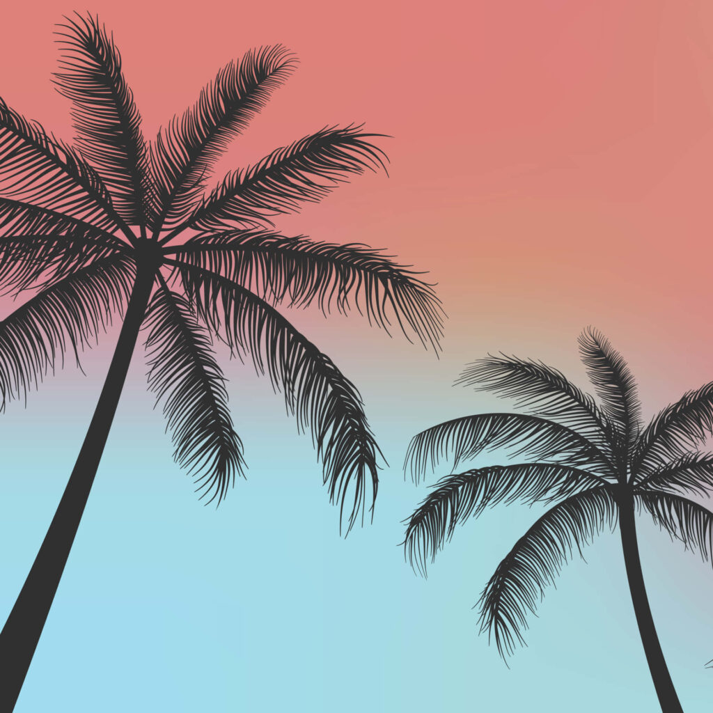 Tropical Palm Trees Wallpaper: Coral & Turquoise Gradient Background