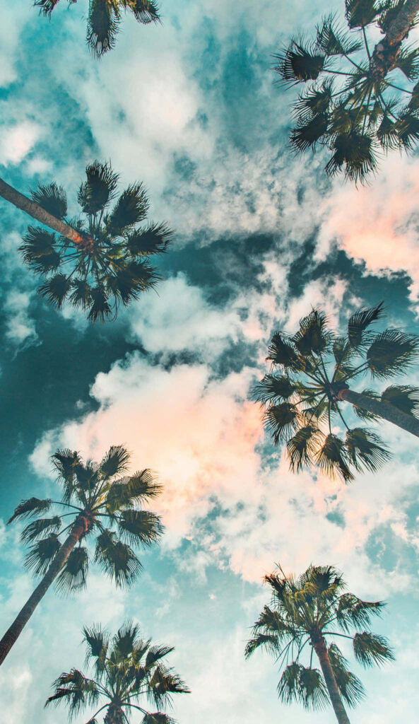 Tropical Palm Trees Wallpaper: Serene Sky & Clouds Background