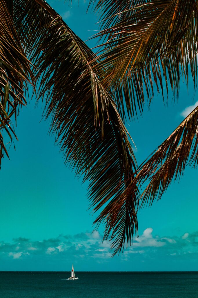 Tropical wallpaper with palm branches framing clear blue sea and sailboat under turquoise sky