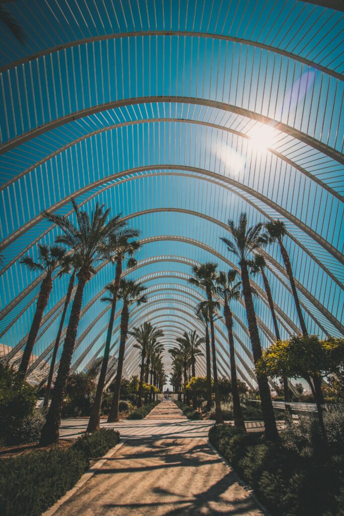 Tall palm trees and curved metal arches under vibrant blue sky sunlight wallpaper background