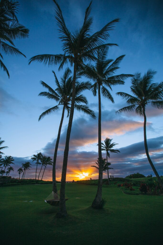 Tropical wallpaper with palm trees and hammock at vibrant Koloa sunset sky summer background