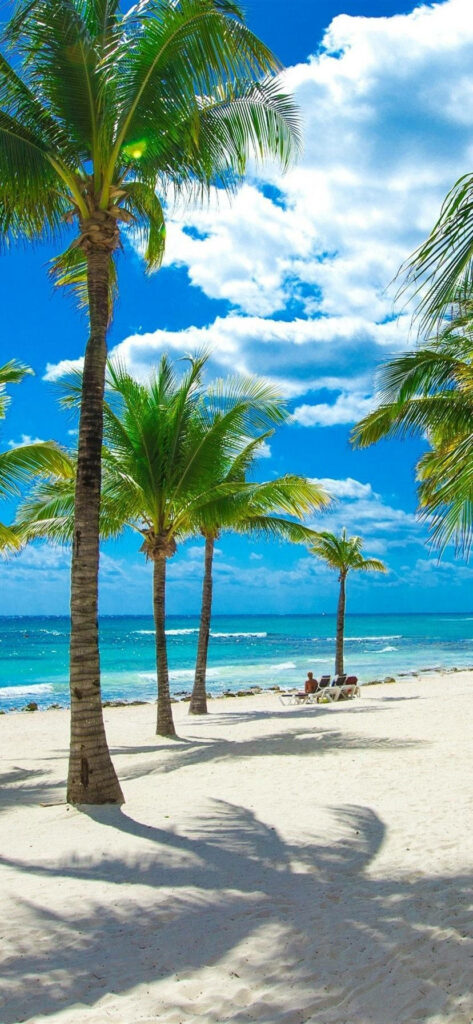 Tropical Paradise: Stunning 4k Beachscape For Your Iphone Wallpaper