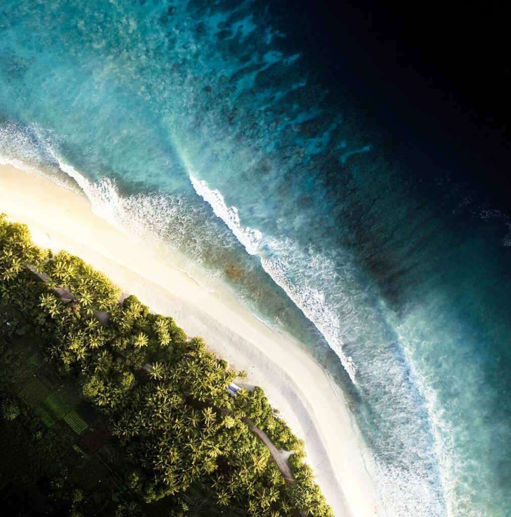Aerial view of turquoise waves and golden beach lined with green palm trees in tropical paradise Wallpaper