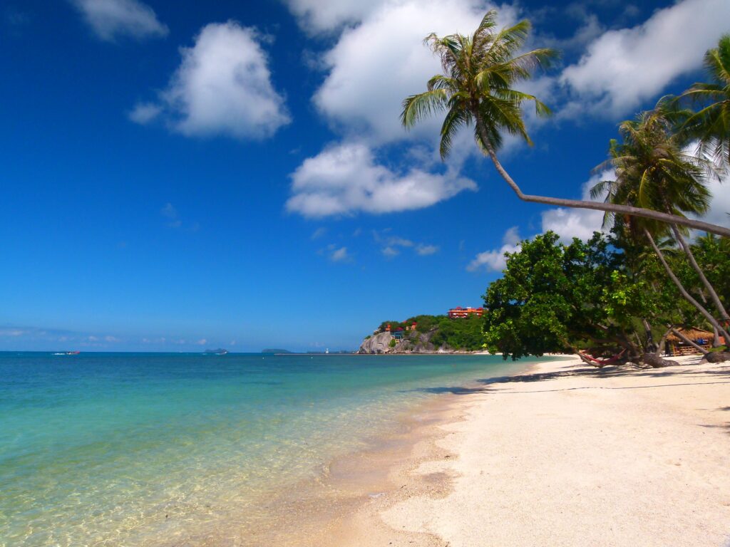 Tropical beach wallpaper with turquoise sea white sand palm trees and bright blue sky clouds