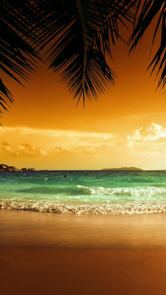 Serenity in Paradise: A Breathtaking Tropical Sunset by the Bonito Shores Wallpaper