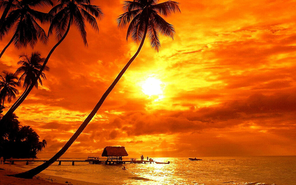 Tropical Serenity: Majestic Palm Trees Silhouetted Against a Stunning Island Sunset Wallpaper