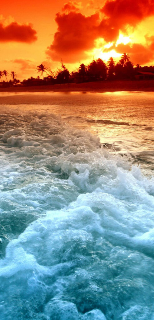 Tropical Paradise: Breathtaking Beach Sunset Wallpaper