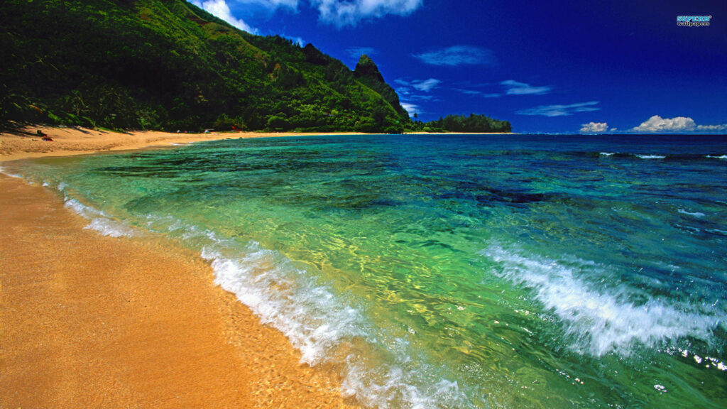 Tropical Paradise Beach Wallpaper: Crystal Clear Water & Sandy Shore