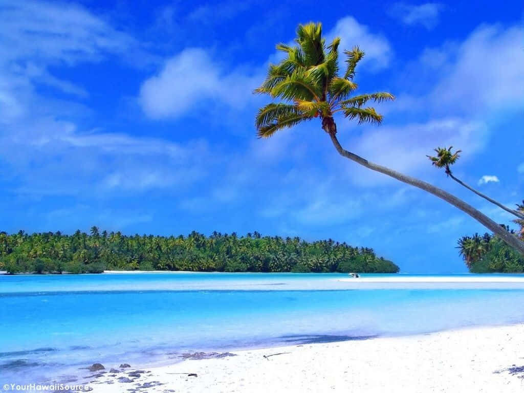 Serene Hawaiian Beach Wallpaper - Tropical Paradise Background