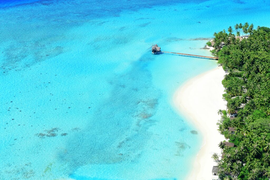 Top view of tropical paradise with turquoise ocean palm trees white sandy beach and wooden pier Wallpaper