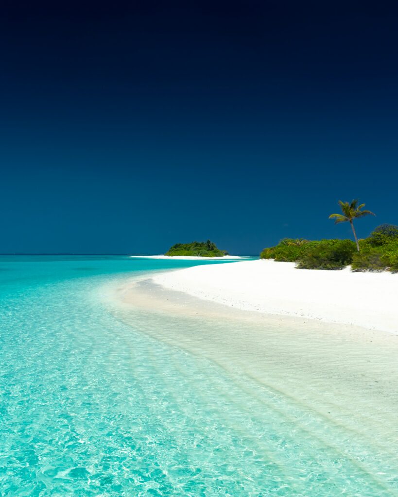 Tropical paradise wallpaper with turquoise ocean white sandy beach lush palm trees and island