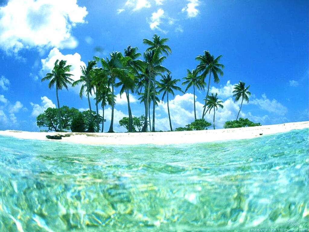 Tropical Paradise Wallpaper: Crystal Clear Waters & Sandy Beach