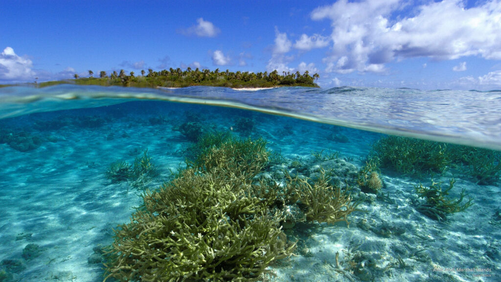 Tropical Paradise Wallpaper: Crystal Waters & Lush Island Background