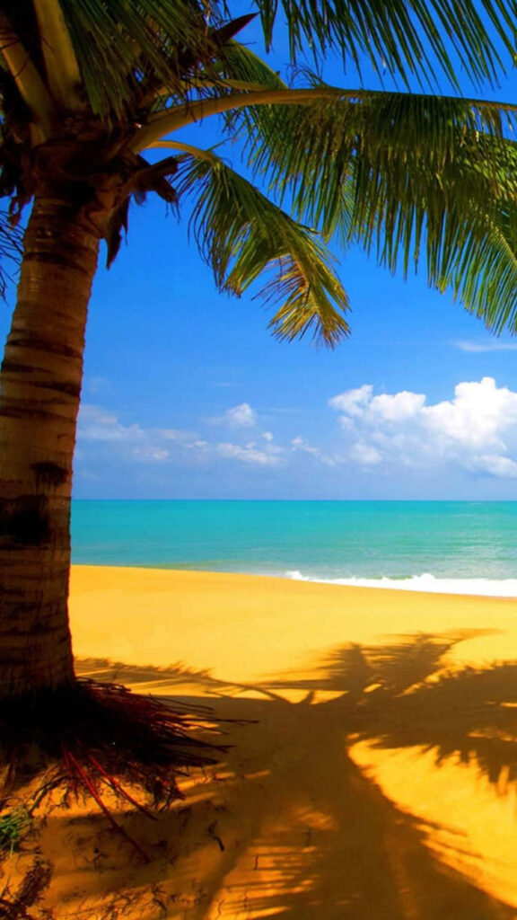 Serene Golden Beach Wallpaper: Tropical Paradise & Gentle Waves