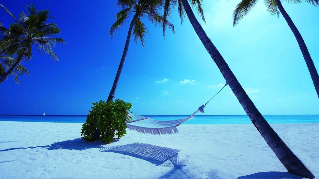 Tropical Paradise: Hammock & Palm Trees on a Serene Beach Wallpaper