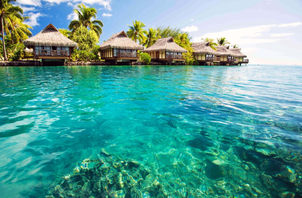 Tropical Paradise Wallpaper: Turquoise Waters & Overwater Bungalows