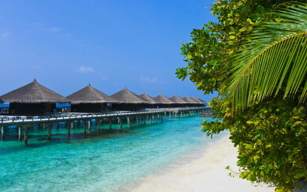 Tropical Beachfront Wallpaper with Overwater Cottages & Blue Sky
