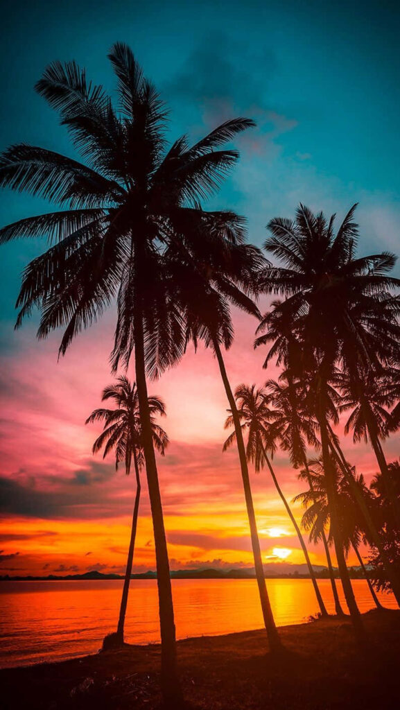 Tropical Sunset Wallpaper: Palm Trees & Warm Ocean Hues Background