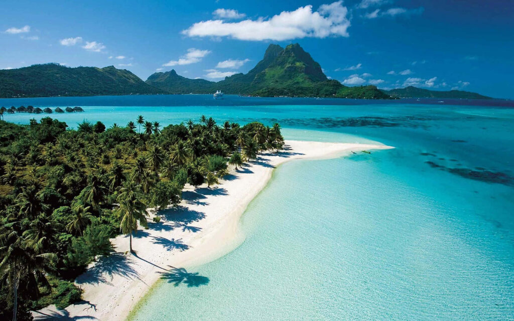 Tropical Paradise: Serene Bahamas Beach & Lush Greenery View Wallpaper