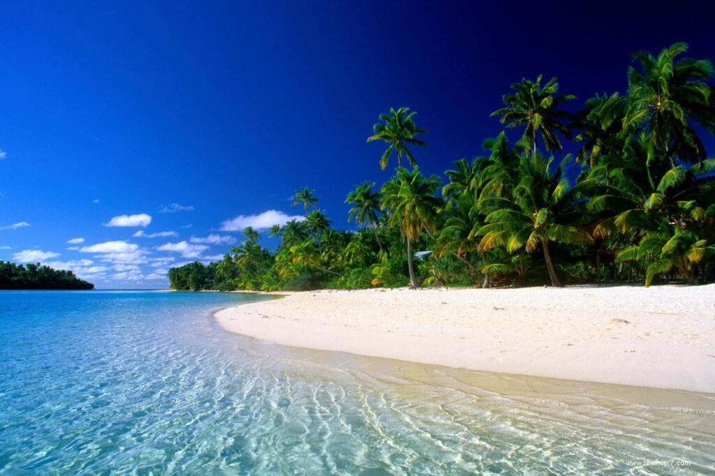 Tropical Paradise: Pristine Beach & Crystal-Clear Waters Background Wallpaper