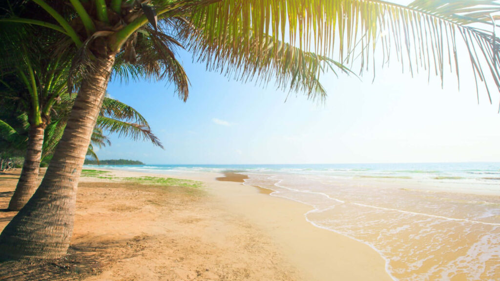 Tranquil Tropical Beach: Golden Sand, Palm Trees & Blue Sky Wallpaper