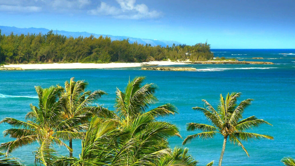 Idyllic Tropical Paradise Wallpaper: Serene Beach & Palm Trees
