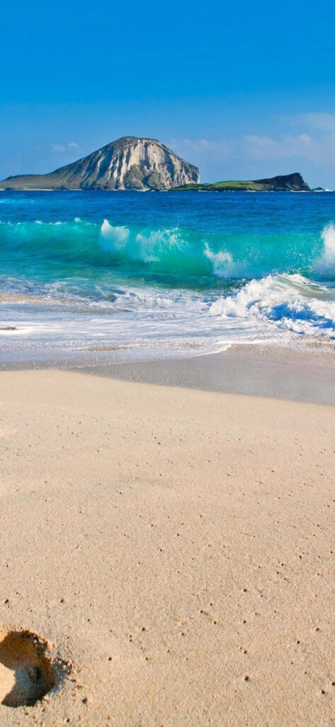 Tropical Beach Wallpaper: Turquoise Waters & Sandy Shore Background