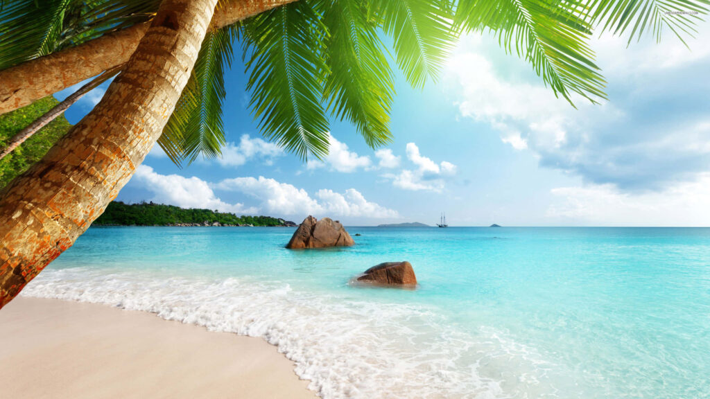 Tropical Paradise: Serene Beauty with Turquoise Waters & Sandy Beaches Wallpaper