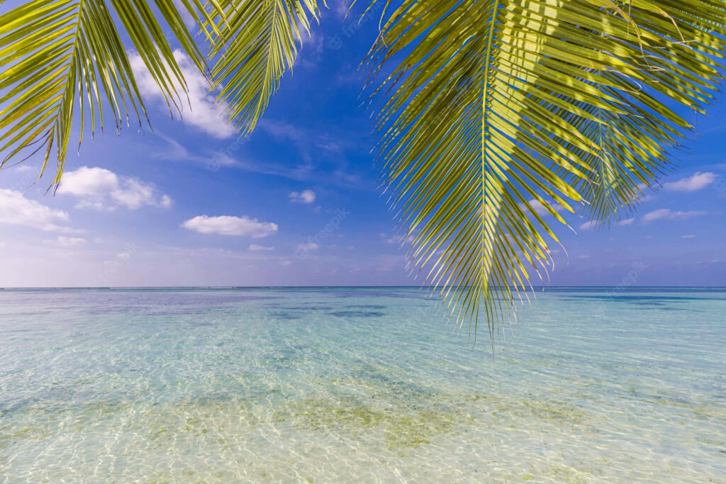Serene Tropical Wallpaper: Clear Waters & Lush Palm Paradise
