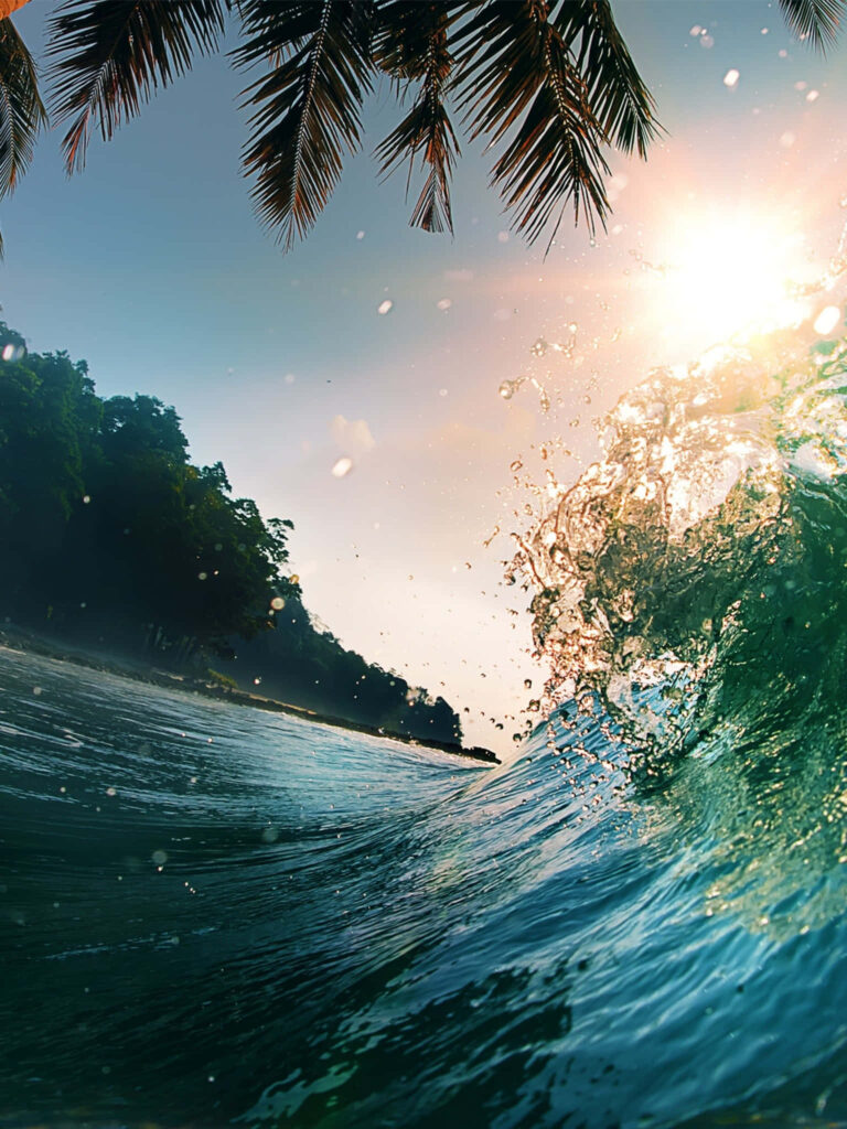 Tropical Wave Wallpaper: Lush Paradise & Vibrant Beach Scene