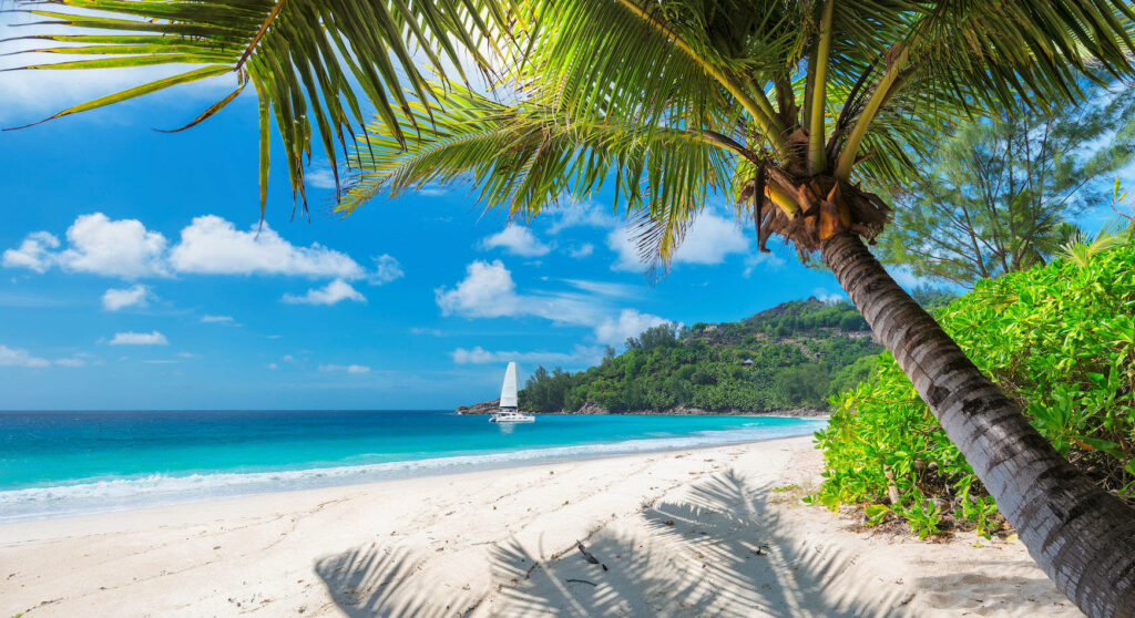 Tropical Paradise Wallpaper: Sandy Beach & Turquoise Waters