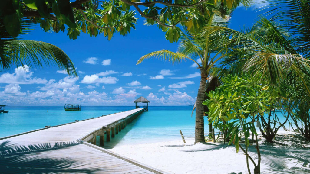 Tropical Paradise Wallpaper: Wooden Pier & Turquoise Waters Background