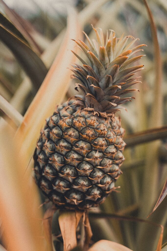 Tropical Pineapple Close-Up: Intricate Texture Wallpaper Background