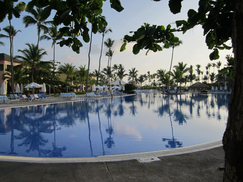 Tropical Hotel Wallpaper: Serene Pool & Lush Palm Trees