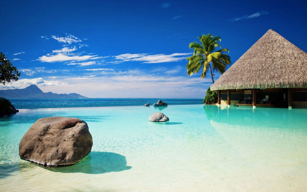 Serene Tropical Pool Wallpaper: Crystal-Clear Water & Lush Paradise