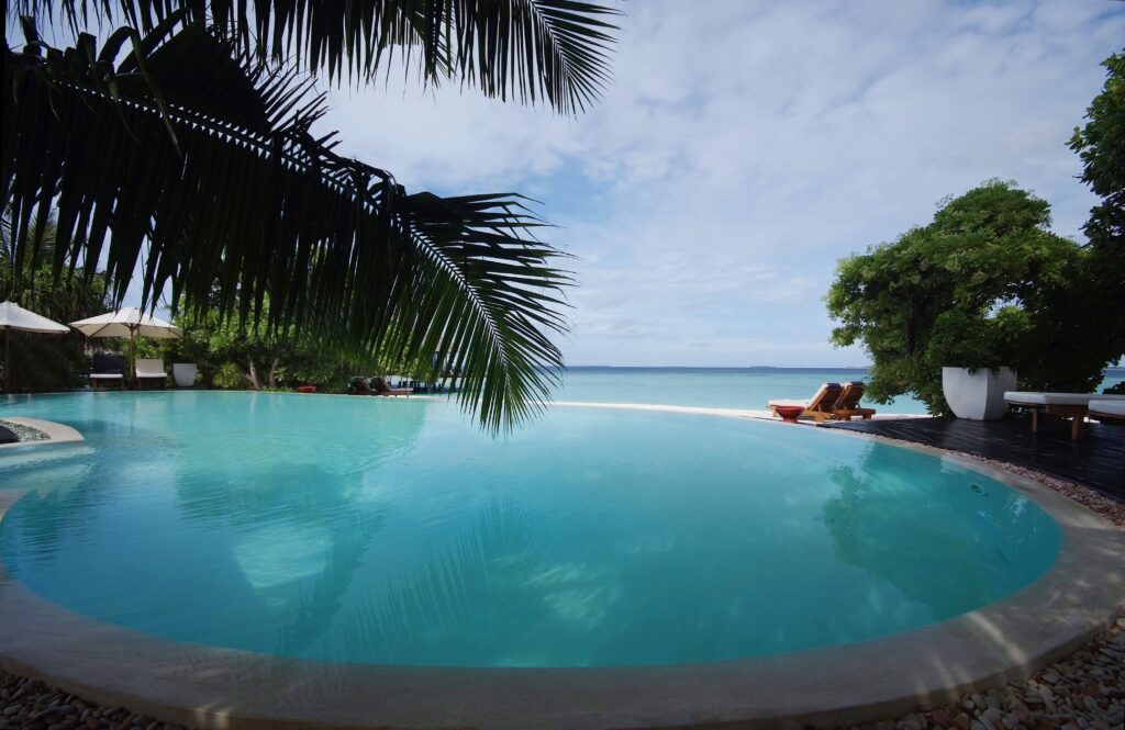 Tropical swimming pool with palm trees lounge chairs and ocean view summer relaxation wallpaper