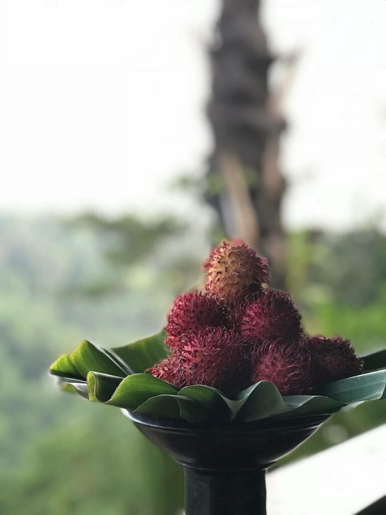 Exotic Rambutan Fruits on Banana Leaves - Tropical Wallpaper Background