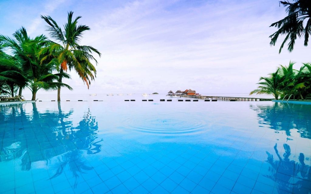 Serene tropical resort pool with clear blue water palm trees and over-water bungalows background Wallpaper