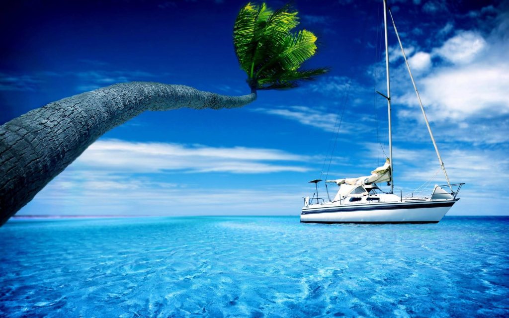 Sailboat on clear tropical blue waters framed by a palm tree under sunny sky wallpaper background