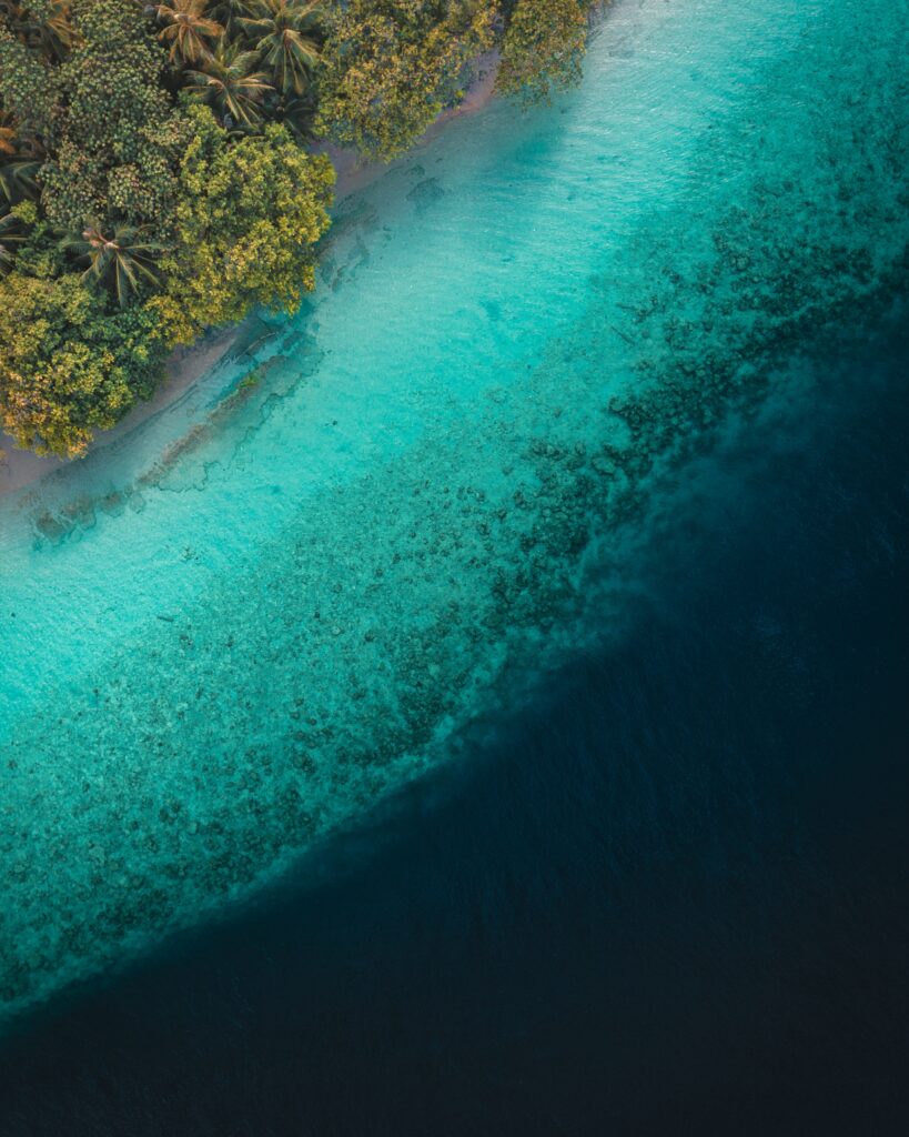 Aerial view of tropical shoreline with lush palms and turquoise to deep blue ocean waters wallpaper