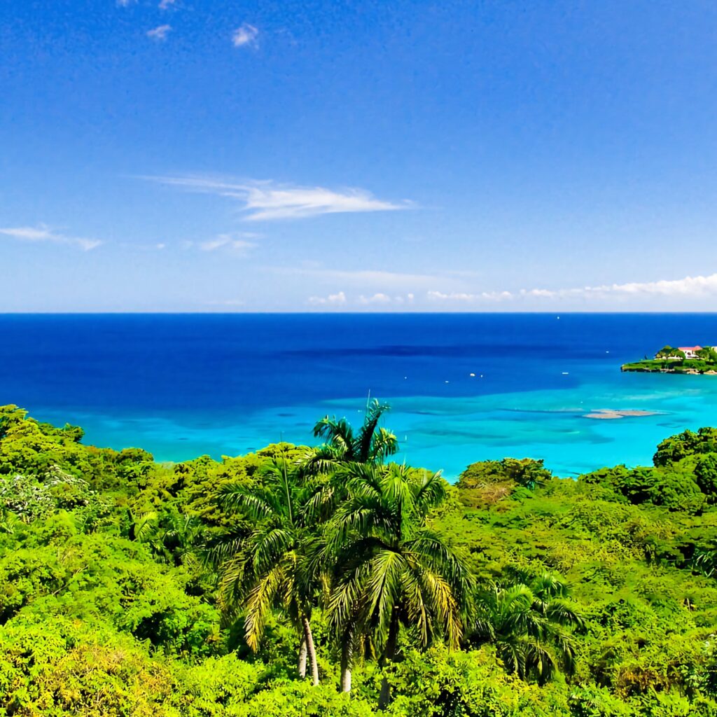 Tropical Sint Maarten wallpaper with clear blue waters coconut trees and lush green foliage