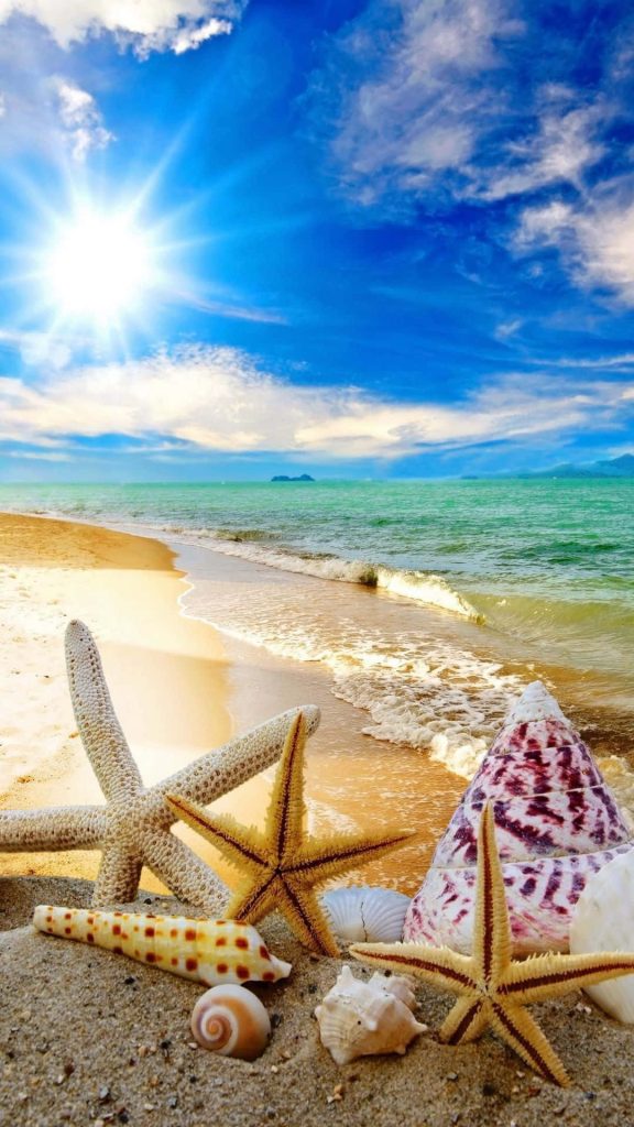 Tropical beach wallpaper with starfish seashells golden sand turquoise ocean and sunburst sky
