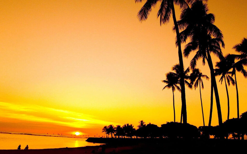 Tropical Sunset Beach Wallpaper: Serene Ocean & Palm Silhouettes