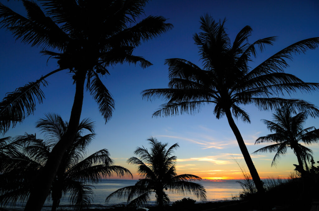 Tropical sunset wallpaper with palm tree silhouettes over calm sea and vibrant sky colors