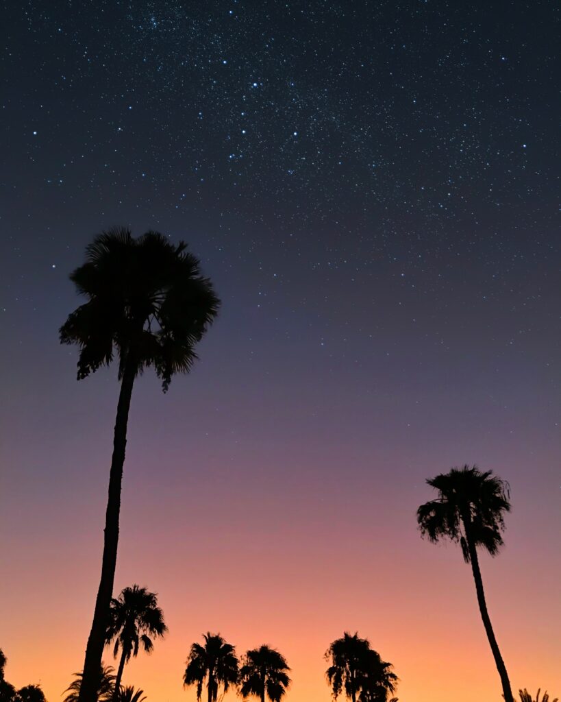 Tropical sunset wallpaper with palm tree silhouettes vibrant orange to purple sky and starry night