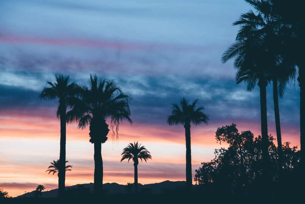 Tall palm trees silhouette sunset sky vibrant pink orange blue mountains tropical wallpaper background
