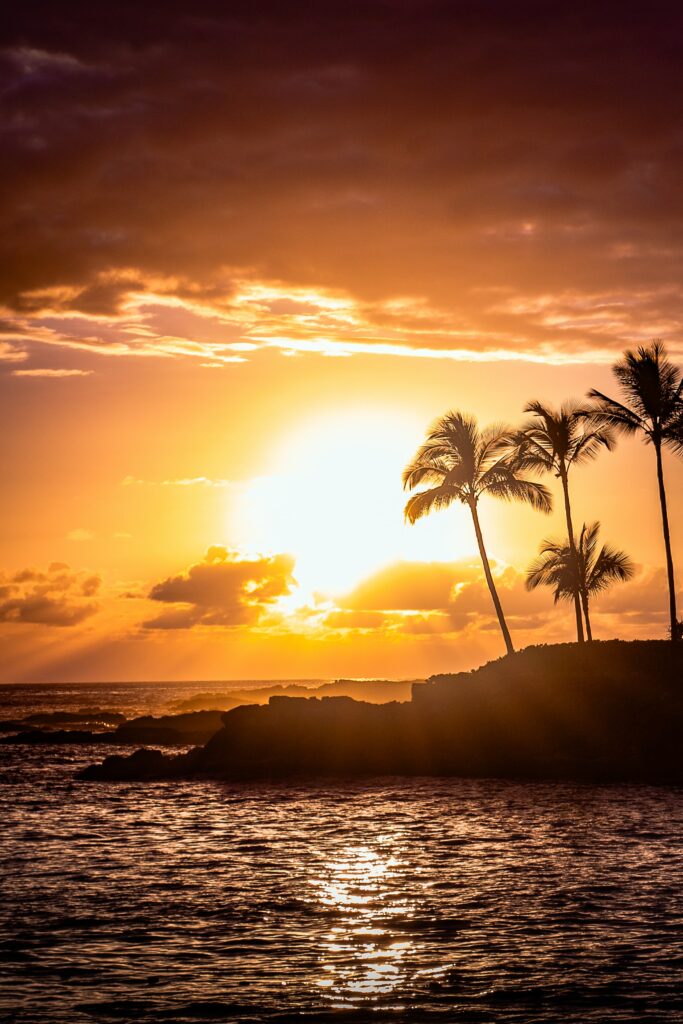 Sunset over sea with golden light waves and palm tree silhouettes on rocky shore wallpaper