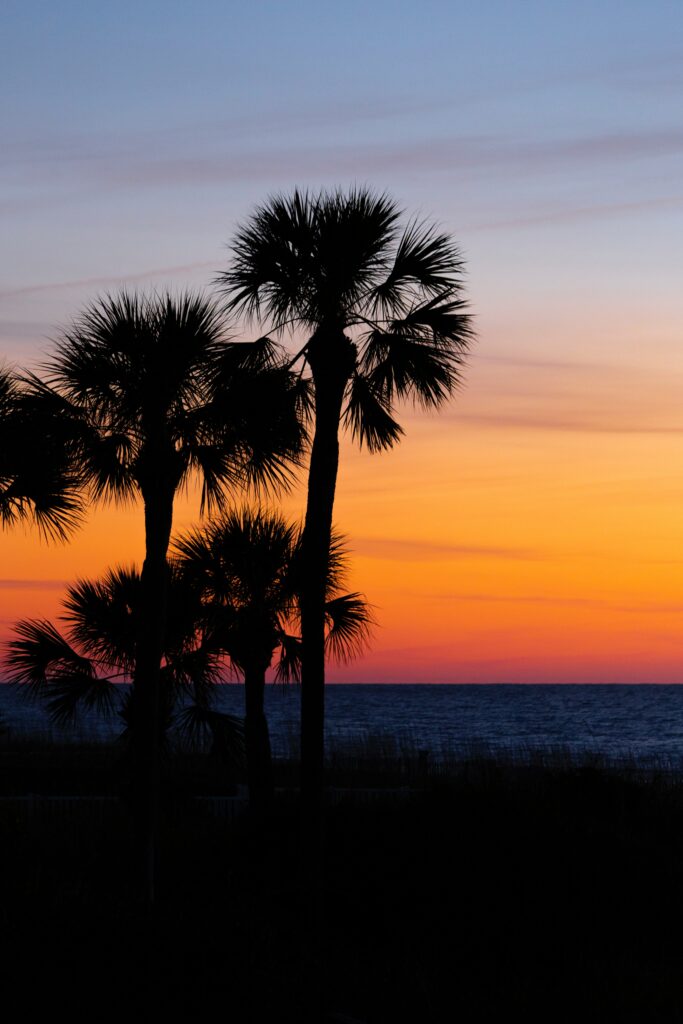 Tropical sunset wallpaper with palm tree silhouettes over ocean and colorful gradient sky